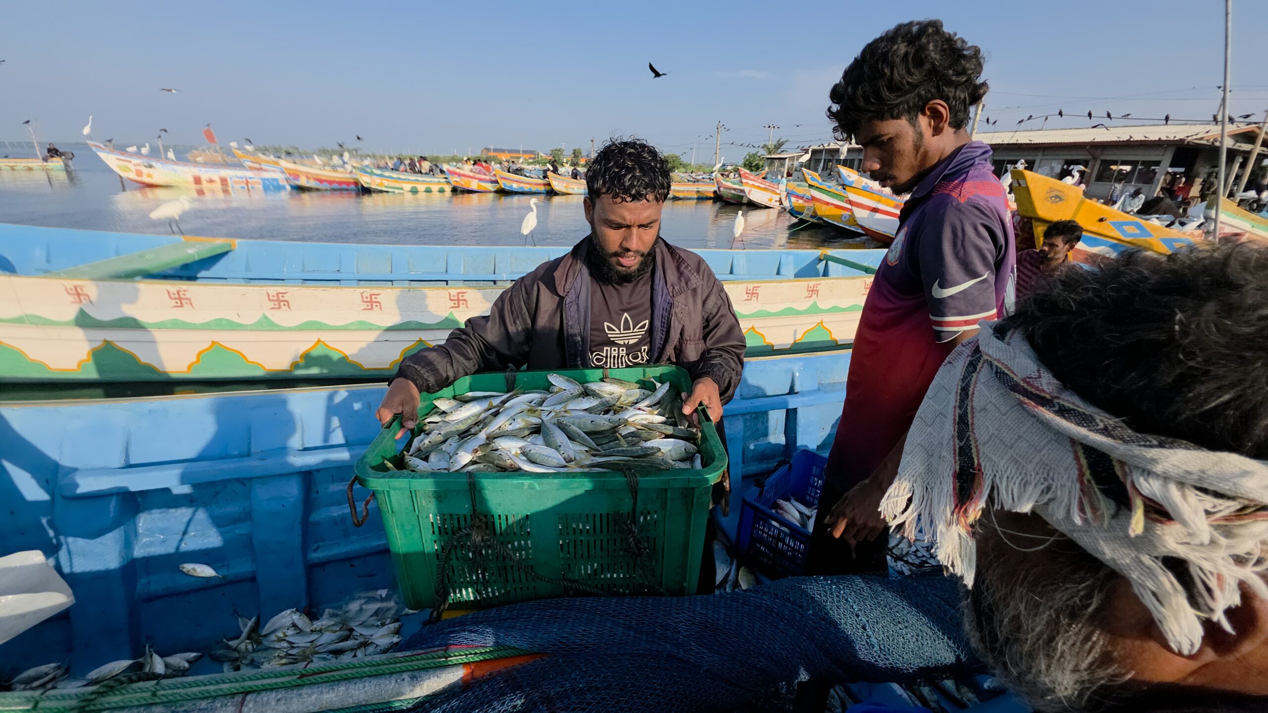 Kallundaively Fish Market - Jaffna